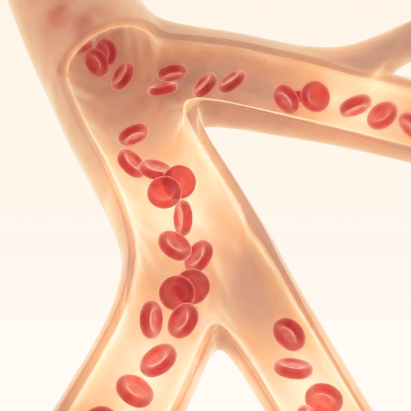 Supports Healthy Blood Flow & Circulation