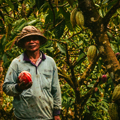 Sourced at the Origin