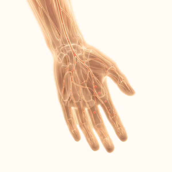 Warmth in Hands and Feet