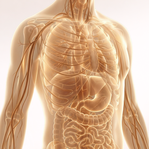 Supports a Healthy Inflammatory Response