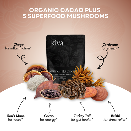 KIVA CEREMONIAL CACAO HOT CHOCOLATE  + 5 ADAPTOGENIC MUSHROOMS